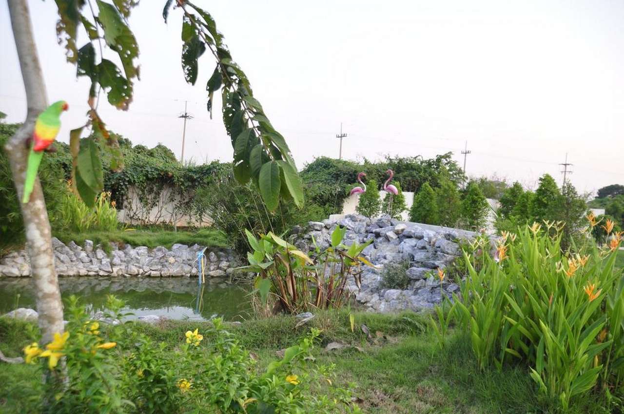 Small landscaped garden with a pond and flamingo figures on the hotel grounds