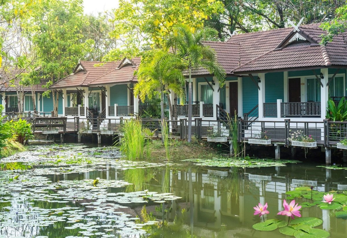 Raised Thai bungalows lined along a lotus pond in bloom
