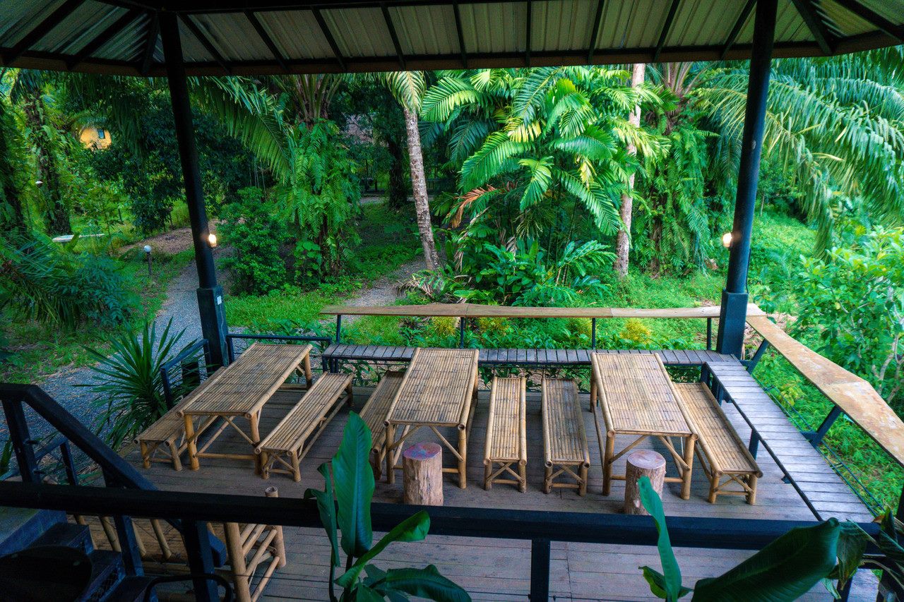 ศาลานั่งเล่นไม้ไผ่กลางสวนป่าของ Anurak Community Lodge