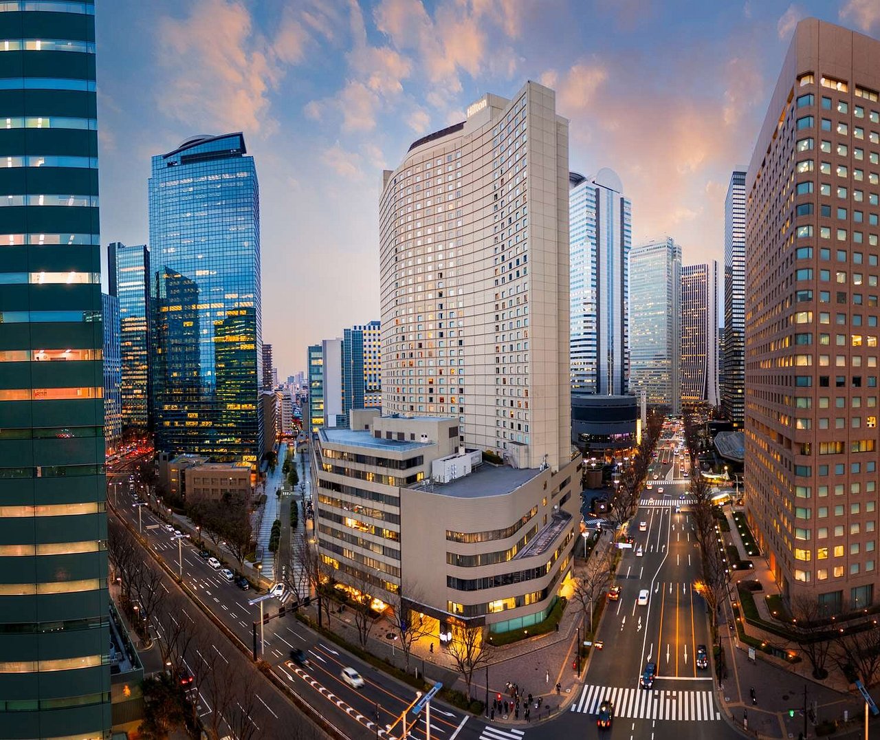 Hilton Tokyo (Nishi-Shinjuku)